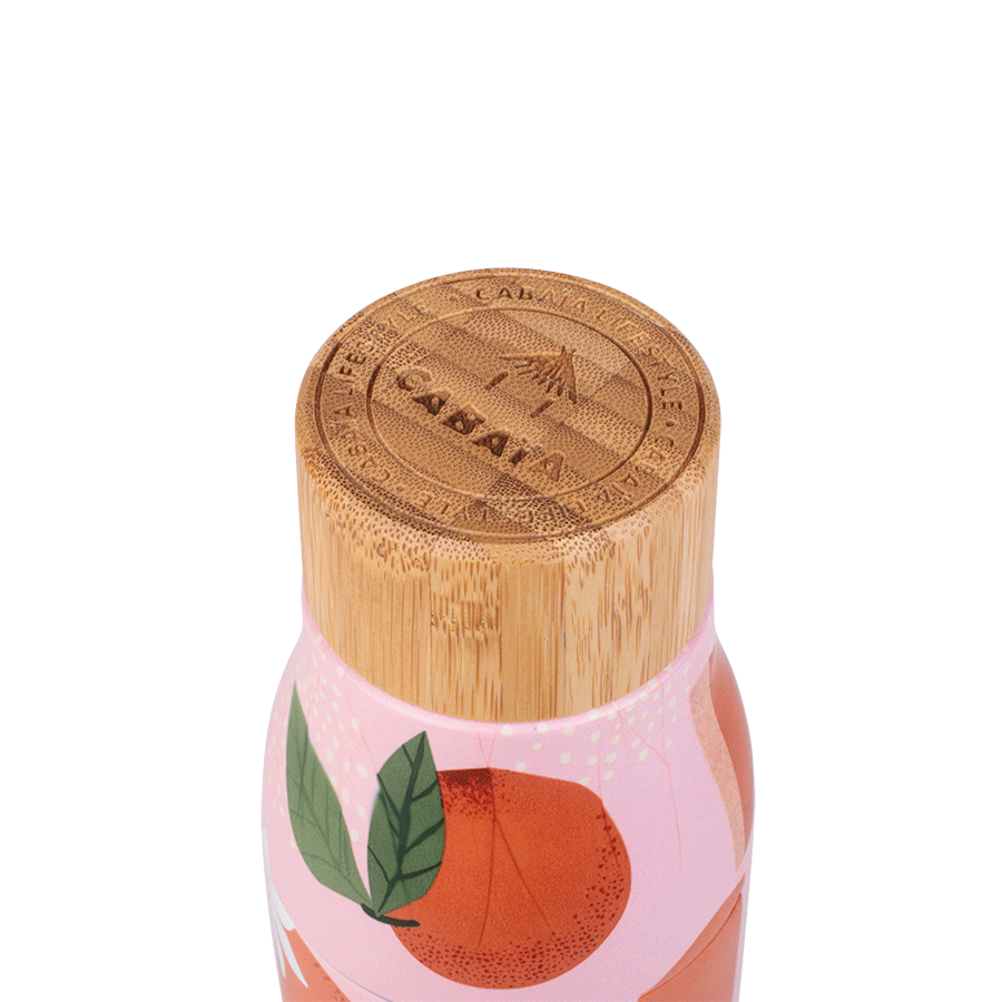 Biwa - Gourde - 500ml