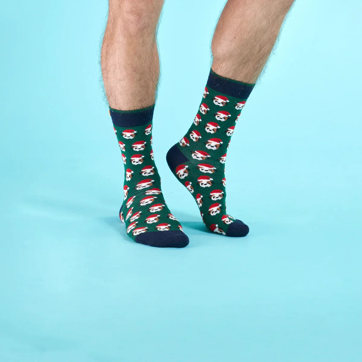 Florent & Clémenceau - 41/46