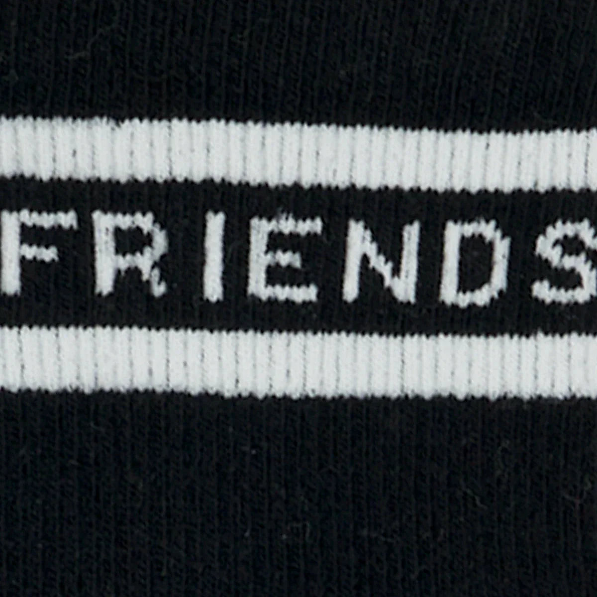 Friends furever - 41/46 - SPA