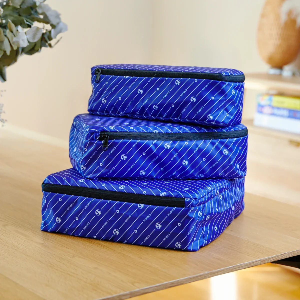 Organisateur valise L