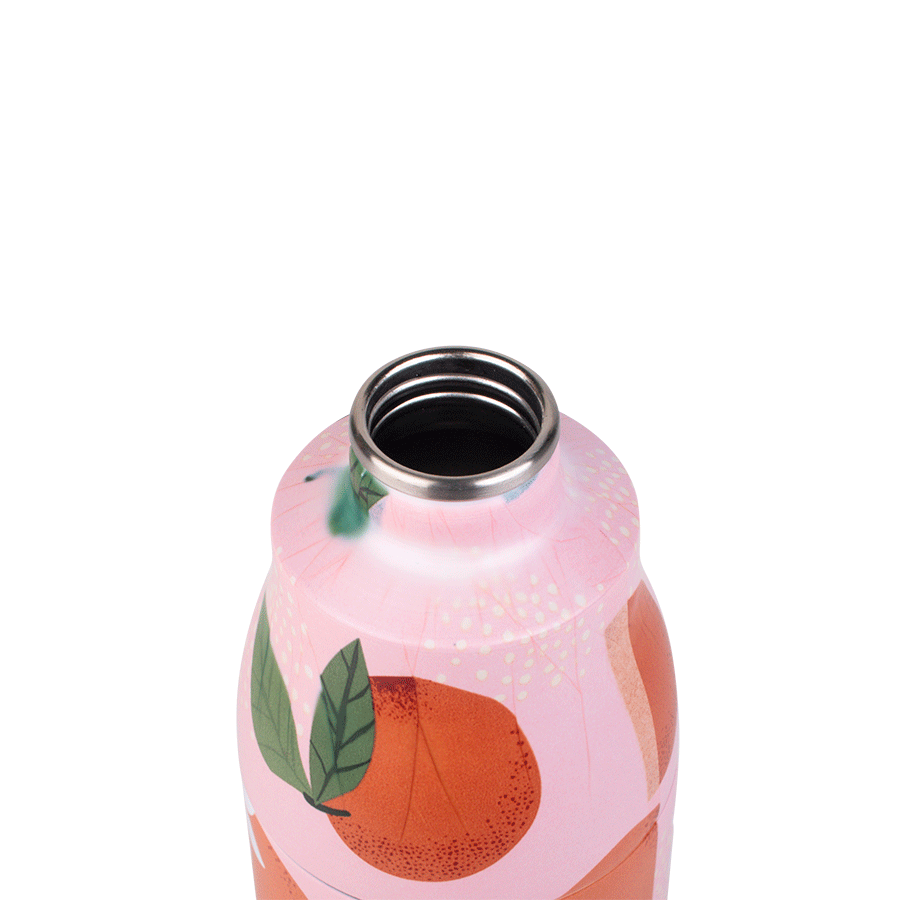 Biwa - Gourde - 500ml