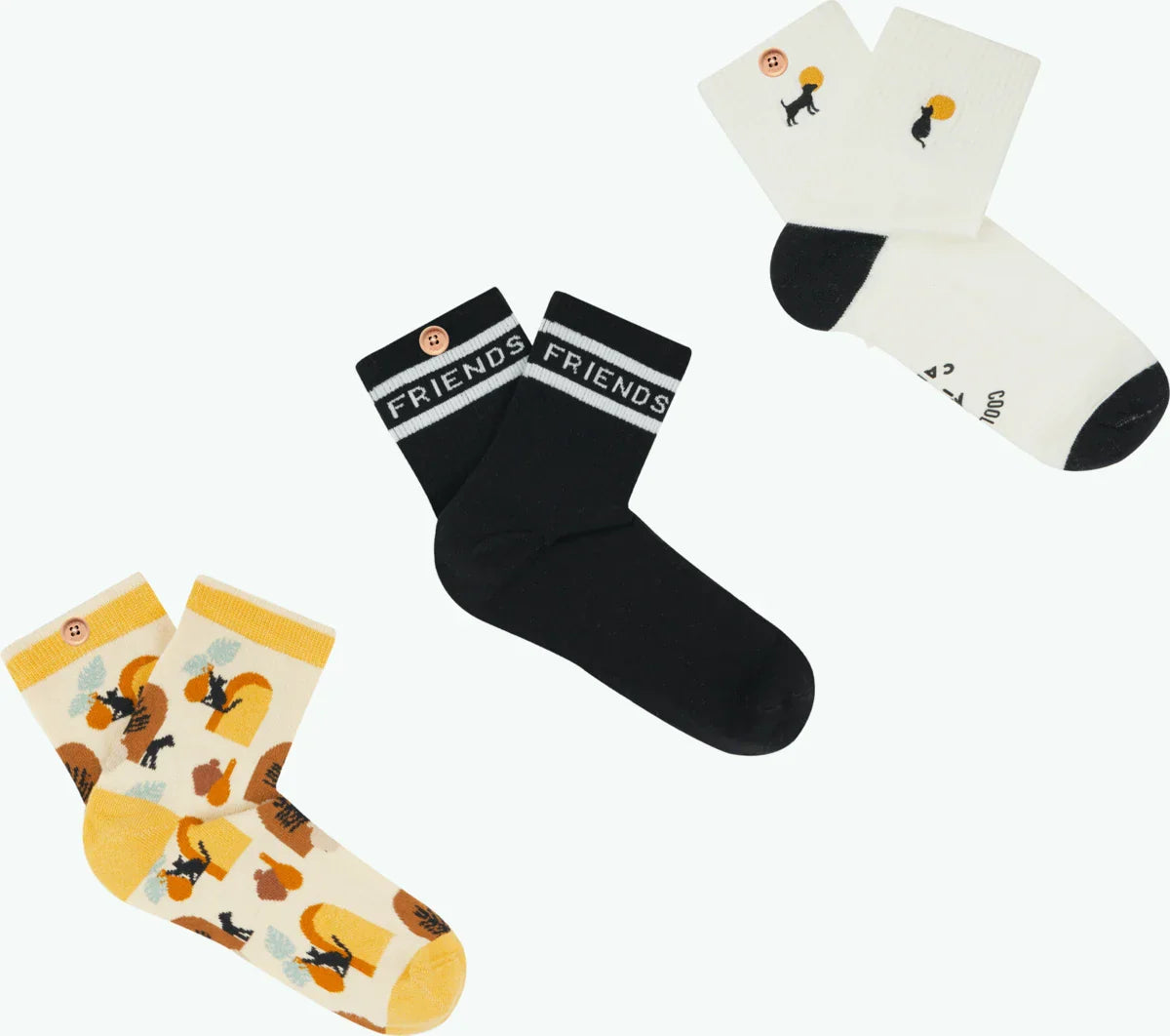 Friends furever - 36/41 - SPA