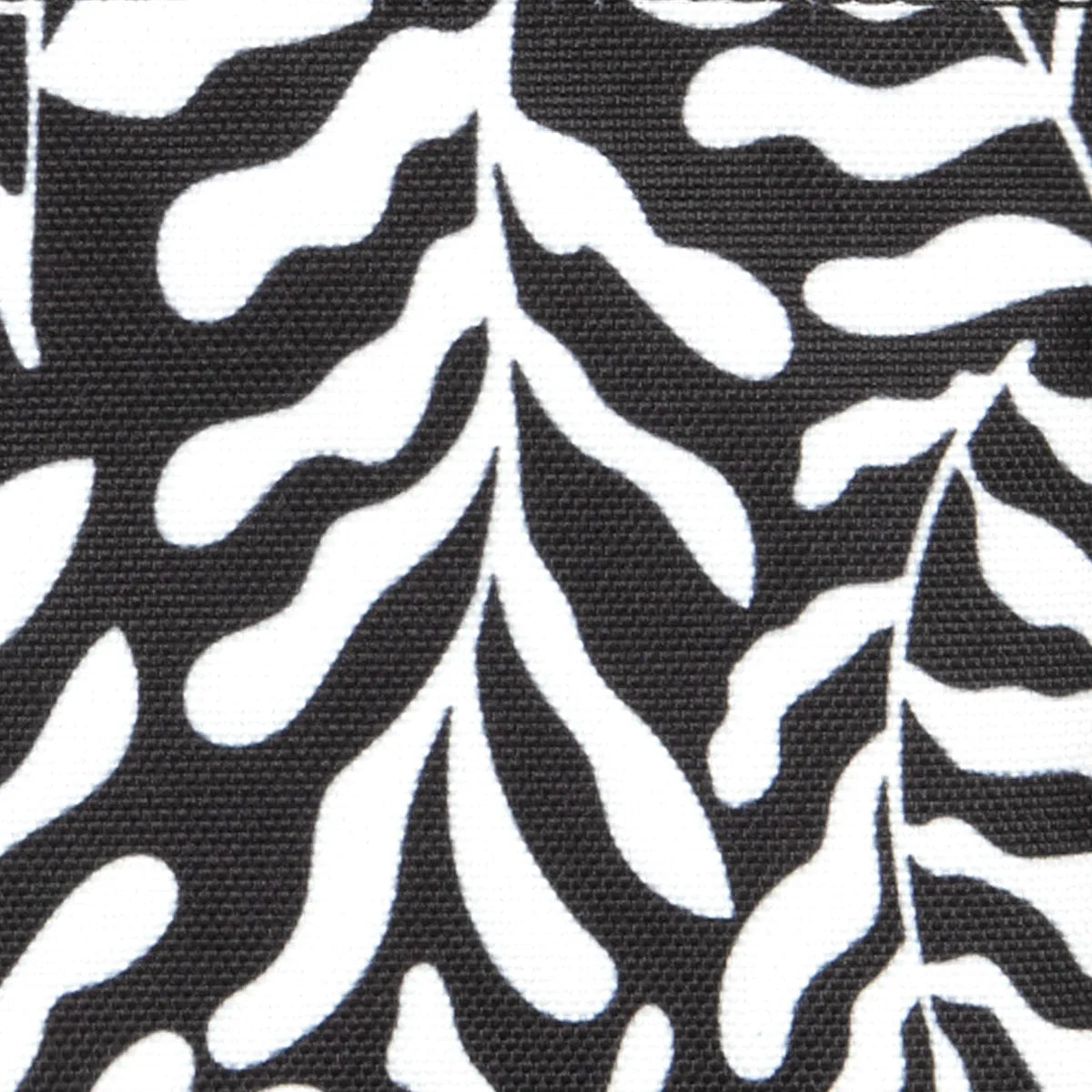 Pochette avant Luanda