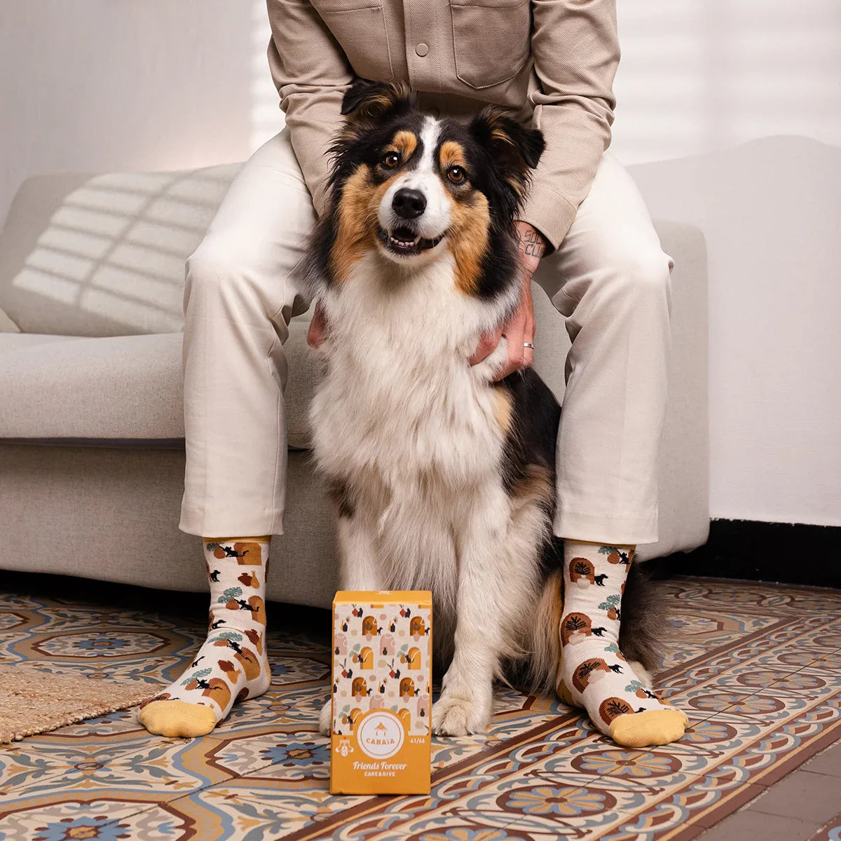 Friends furever - 41/46 - SPA